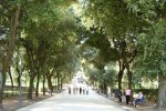 Paseos en verde: los parques de Roma