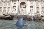 Un tiburón en la Fontana di Trevi