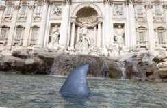 Un tiburón en la Fontana di Trevi